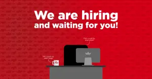 Motion Designer working on 2D animation in After Effects at King Price Insurance Pretoria